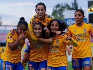 web-52-tigres