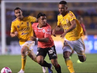 web-52-lobos-tigres