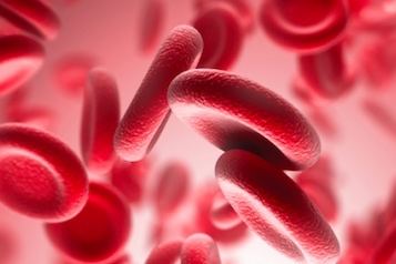 web-66-hematologico