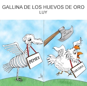 web-carton240519