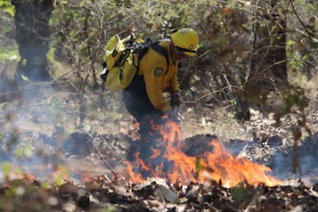 web-66 combate de fuego