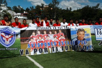 web-21-avispones-chilpancingo