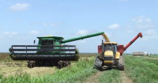 pol agro