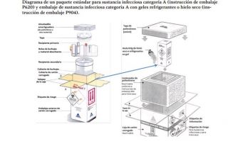 pol ebola grafica2