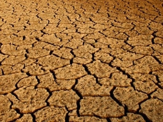 Dia Mundial Contra Desertificacion Sequia
